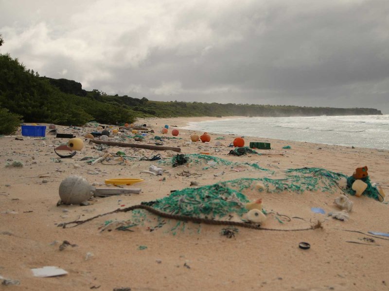 Washed Up Plastic Waste Affects Temperature Cycles and Animal&nbsp;Health