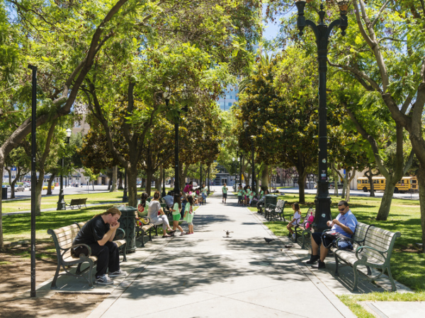 The Role of Neighborhoods in Reducing Cardiovascular Risks for Adolescents with Type 1&nbsp;Diabetes