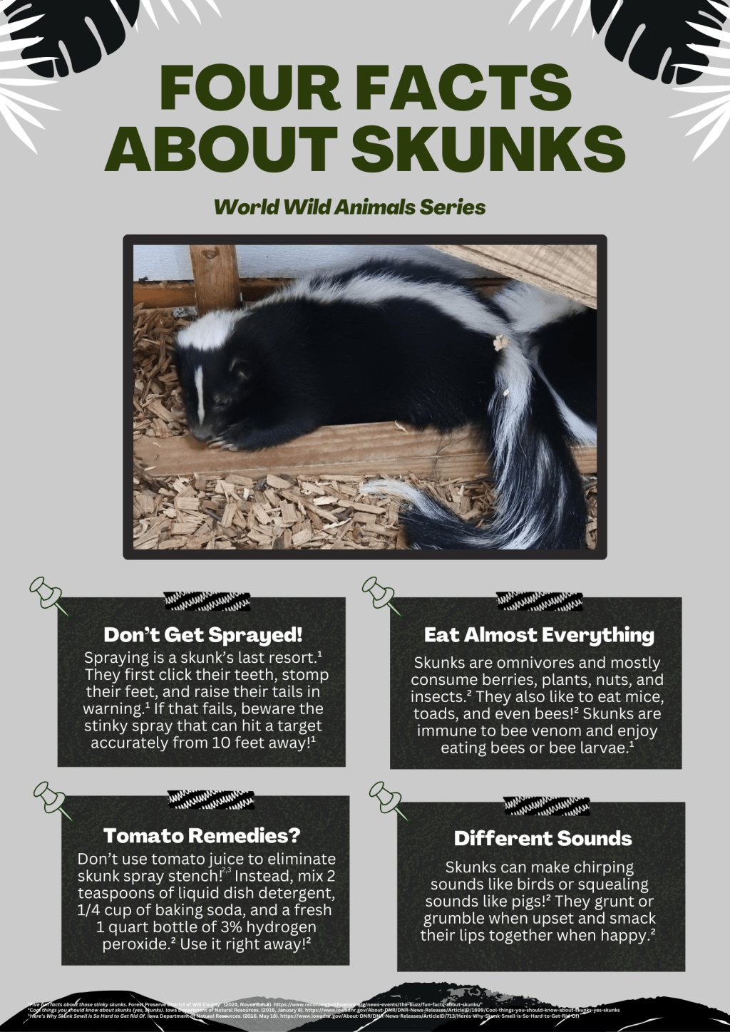 Four Facts About Skunks – World Wild Animals Series
