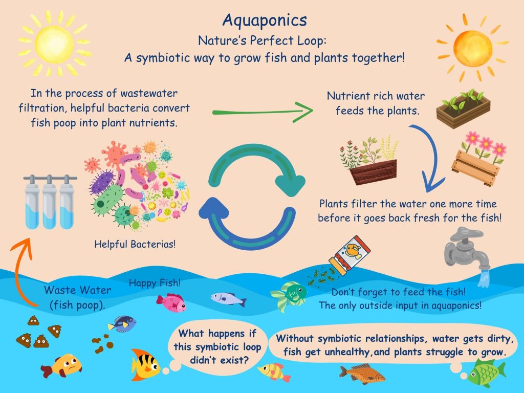 Aquaponics – Nature’s Perfect&nbsp;Loop!