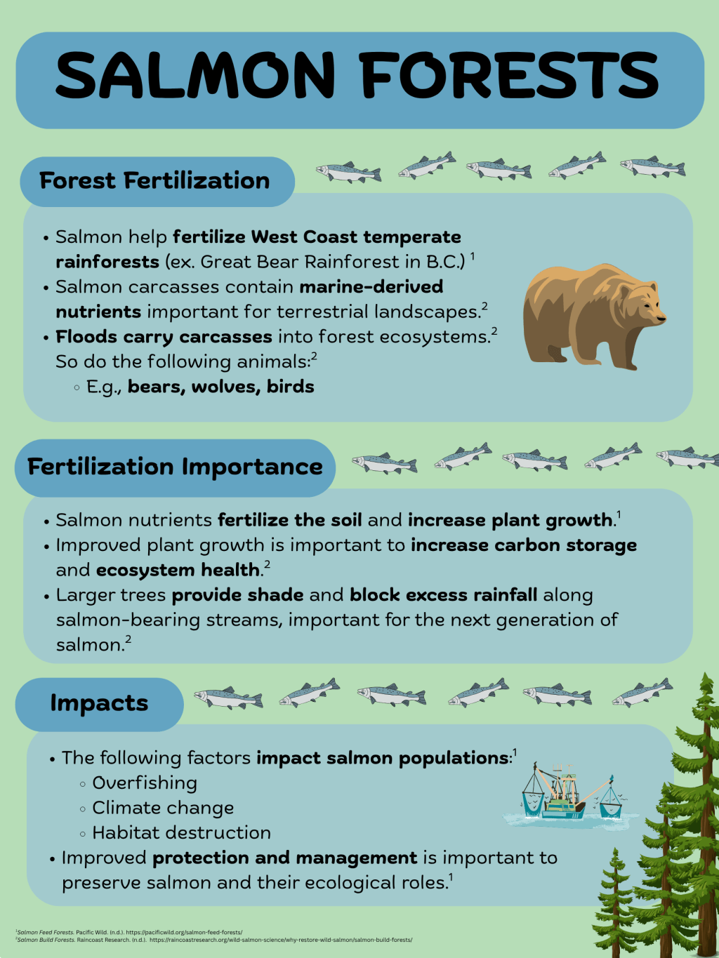 Salmon Forests